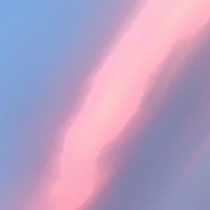 Meet your Posher, Dusty